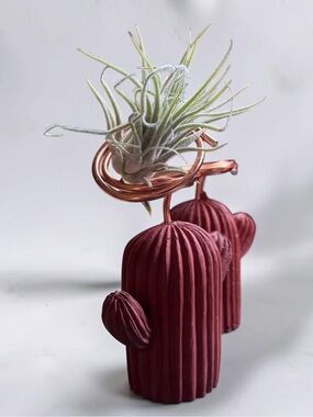 Ceramic Cactus Air Plant Holder - Rust with Copper Coil